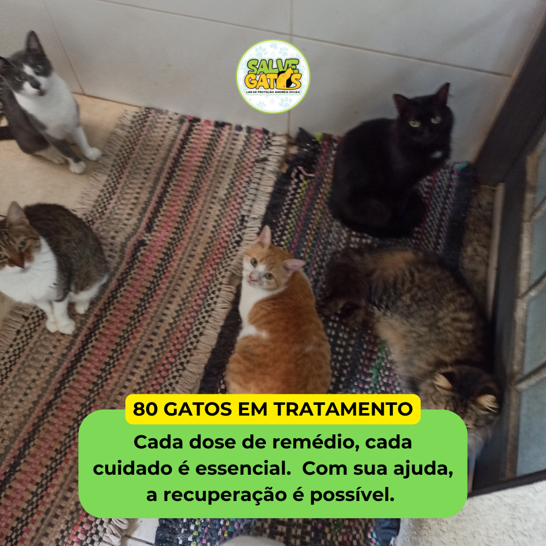 Imagem da campanha